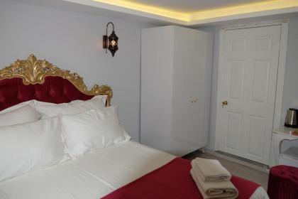 Blue Mosque Suites-Old City Sultanahmet - image 17