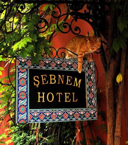 Şebnem Hotel - image 1