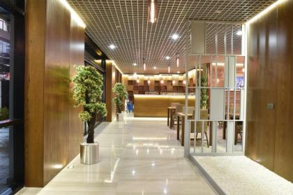 The Elegant Hotel - image 8