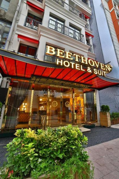 Beethoven Hotel & Suite - image 4