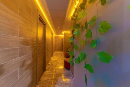 La Wisteria Boutique Hotel Istanbul - image 7