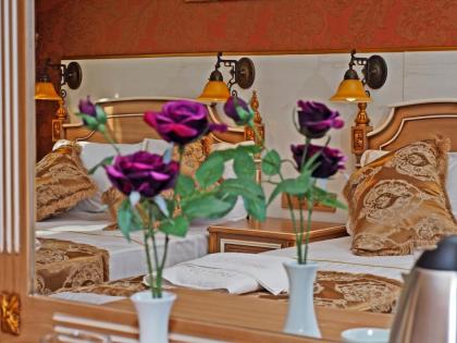 Sirkeci Gar Hotel - image 20