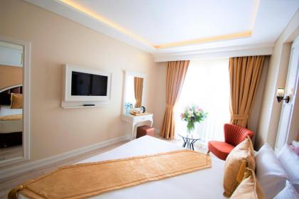 Boss Hotel Sultanahmet - image 3