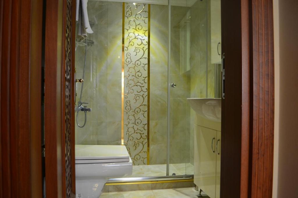 Grand Fatih Hotel - image 4
