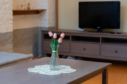 Mayer Loft Suites - image 12