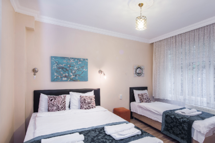 Berce Apart Hotel - image 14
