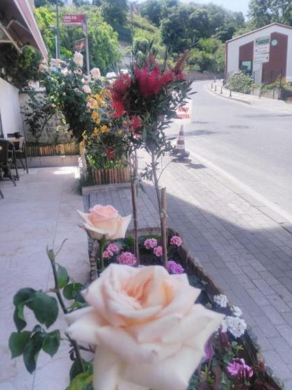 NEW BEYLERBEYİ HOTEL - image 10