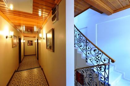 Elyka Hotel - image 13
