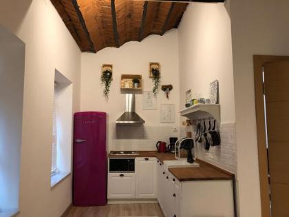 Flats Company Ajda Apartment - image 11
