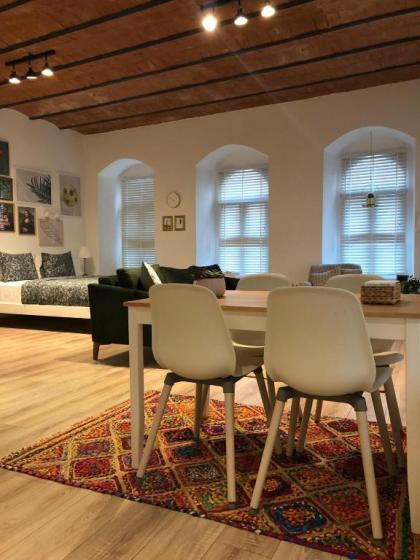 Flats Company Ajda Apartment - image 20