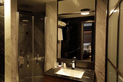 Levni Plus Hotel - image 15