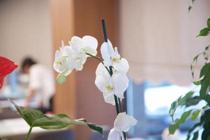 The Tango Hotel Taksim - image 19