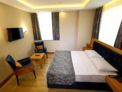 Grand Elmira Suite - image 16