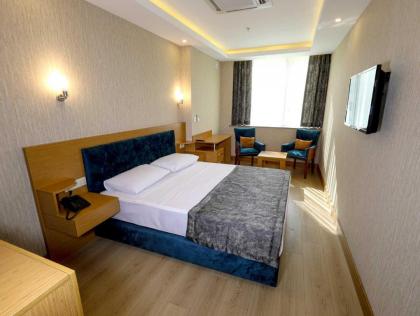 Grand Elmira Suite - image 2