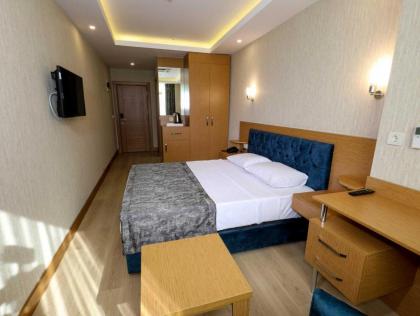 Grand Elmira Suite - image 5