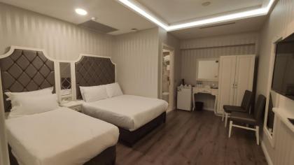 Mister Istanbul Hotel & Spa - image 18
