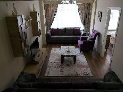 31 Furnished Apartment - image 4