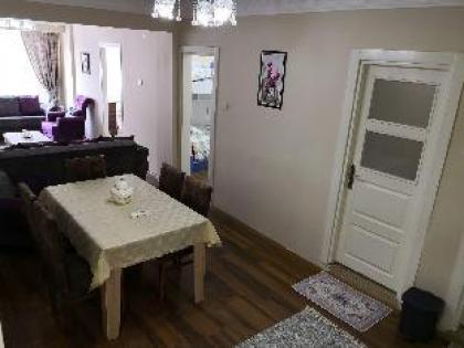 31 Furnished Apartment - image 6
