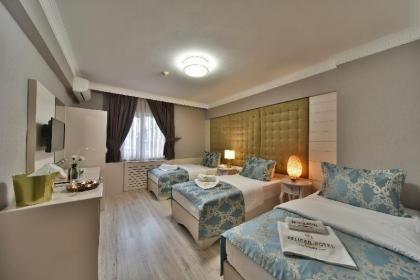 Pelican House Hotel - image 2