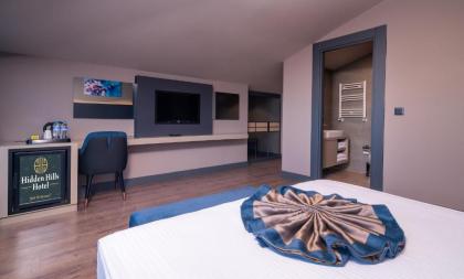 Hidden Hills Hotel Istanbul Airport - image 9