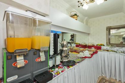 Le Safran Palace Hotel - image 10