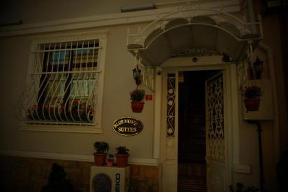 Blue Mosque Suites 2 - Old City Sultanahmet - image 18