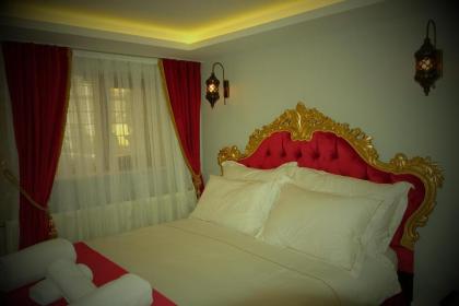 Blue Mosque Suites 2 - Old City Sultanahmet - image 5