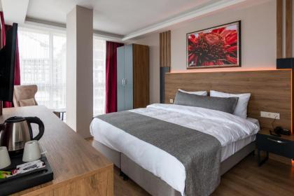 Rush Hotel Istanbul - image 16