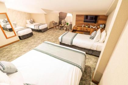 Istanbul Airport Express Hotel - image 9
