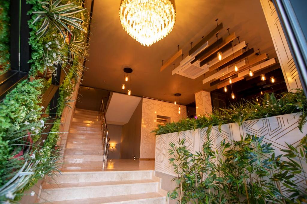 THE GREEN HOTEL - image 4