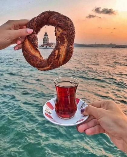 old hatay hotel - image 19