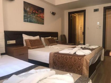 Sultanahmet Milan Hotel&SPA - image 6