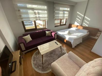 SABIHA GOKCEN HOTEL İSTANBUL HOUSES