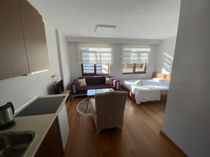SABIHA GOKCEN HOTEL İSTANBUL HOUSES - image 3