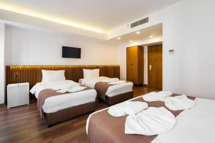 Castillo Rojo Hotel Istanbul - image 16