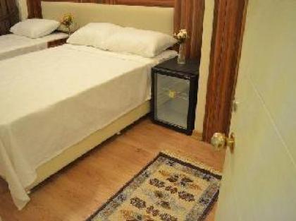 Hotel Fatih Istanbul - image 9