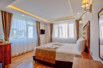 Violin Hotel Sultanahmet - image 9