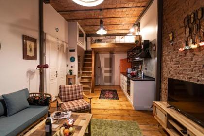 The Istanbuller - image 28