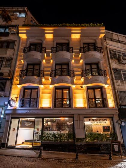 Endican Sultanahmet Hotel - image 1
