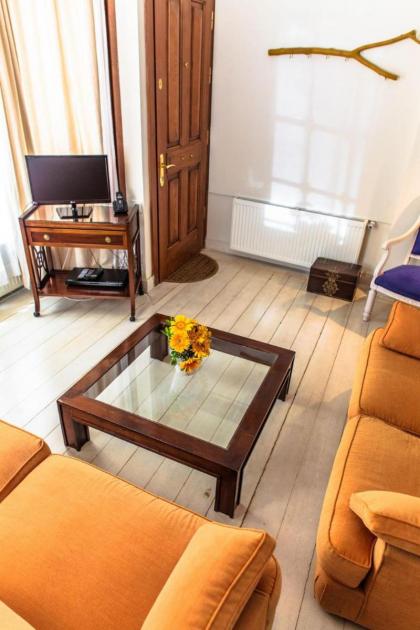 Lovely Apartment Sultan Ahmet Old part Istanbul - image 25