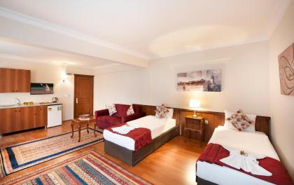 Beautiful apartment with a view of the Blue Mosque - image 3