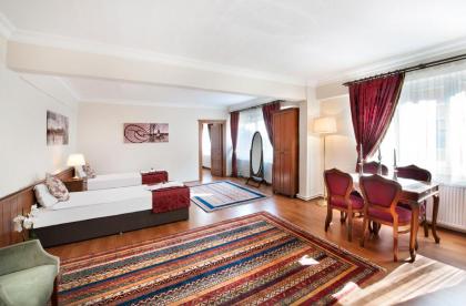 Beautiful apartment with a view of the Blue Mosque - image 4