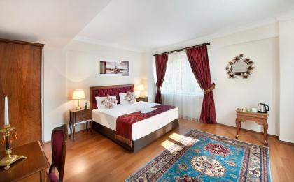 Beautiful apartment with a view of the Blue Mosque - image 7