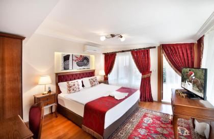 Beautiful apartment with a view of the Blue Mosque - image 8