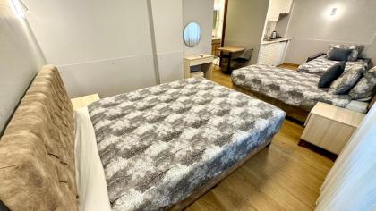 Seven Suites & Apart Sultanahmet - image 18