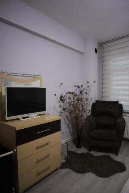 Erkul 1 no lu daire - image 17