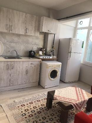 Erkul 1 no lu daire - image 7