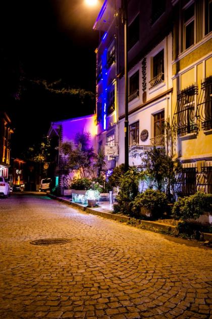 Paris Garden Hotel Istanbul - image 4