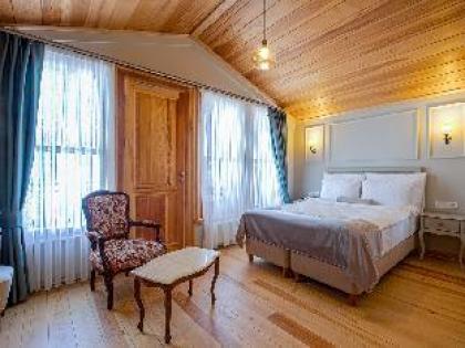 ikiz Konak Boutique Hotel - image 5