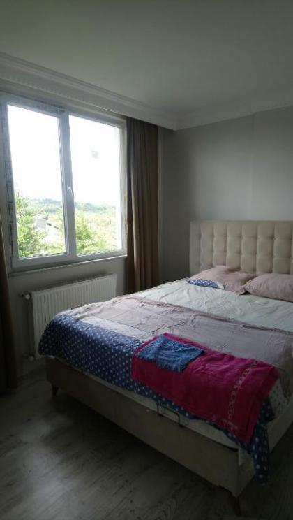 Villa room in the airport in the forest - image 16